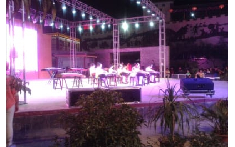 律動青春 放飛夢想 敦煌陳思思古箏藝?！坝瓏鴳c”專場文藝演出